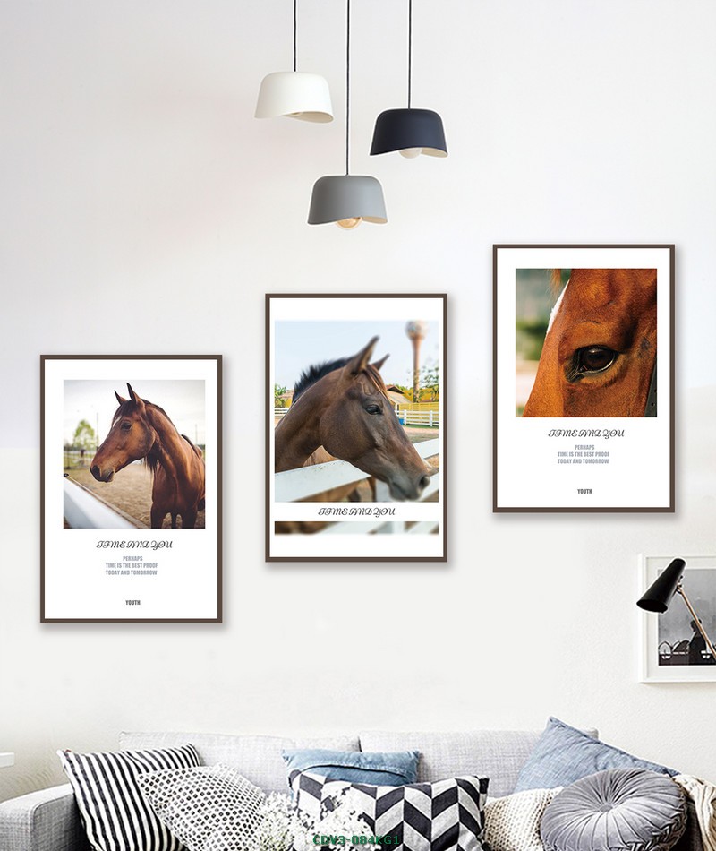 Động vật CDV3-084KG1